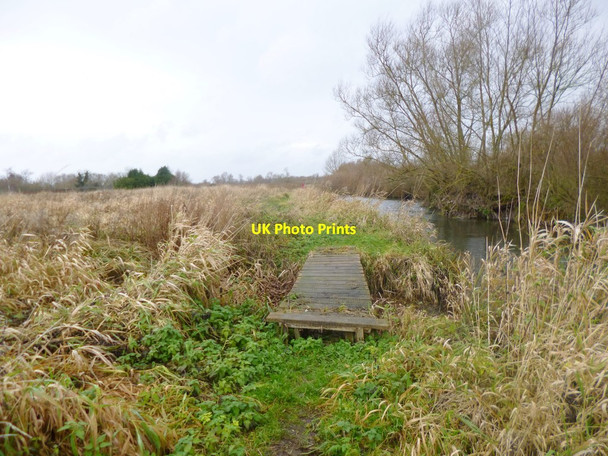 Photo 6"x4" Britford, boardwalk Salisbury c2013