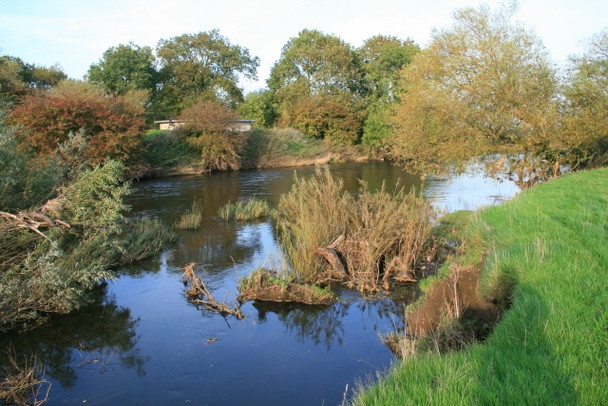 Photo 6"x4" The River Derwent near Great Wilne Church Wilne c2008