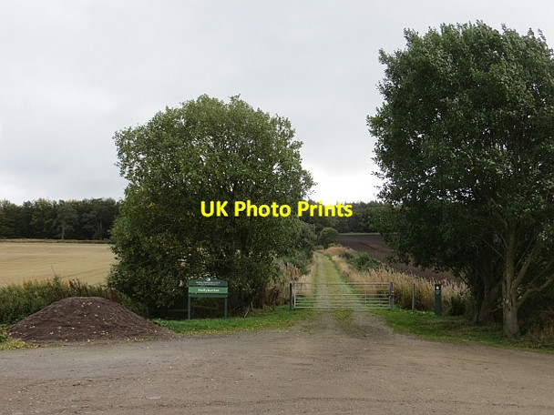 Photo 6"x4" Road. Hallyburton Wood Ardler\/NO2641 c2013