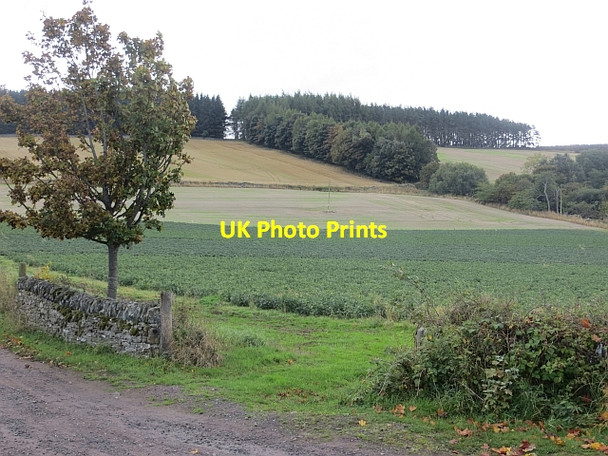 Photo 6"x4" Farmland, High Keillor Ardler\/NO2641 c2013