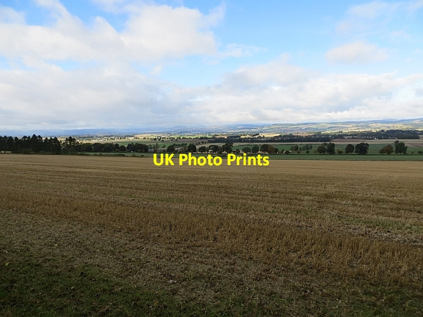 Photo 6"x4" Stubble, Keillor Ardler\/NO2641 c2013