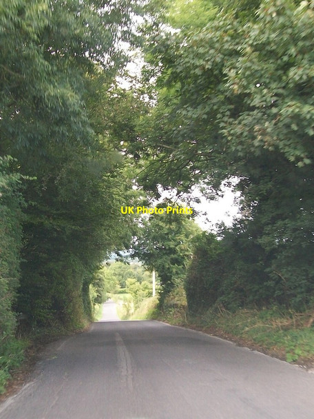 Photo 6"x4" View north-eastwards along minor road linking the Hill of Tara with the R147 Tara\/N9458 c2013