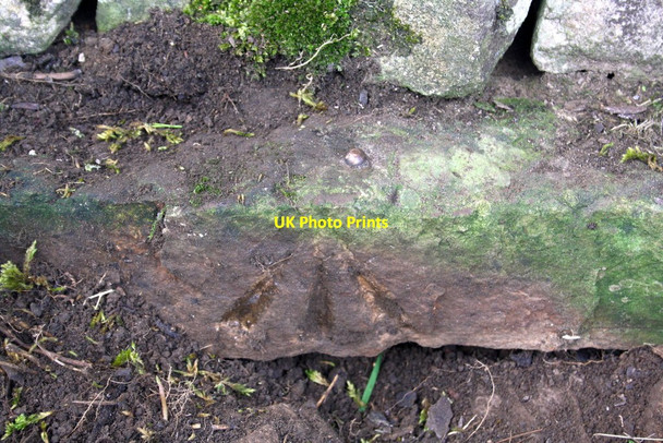 Photo 6"x4" Benchmark on electricity substation wall Carperby\/SE0089 c2013