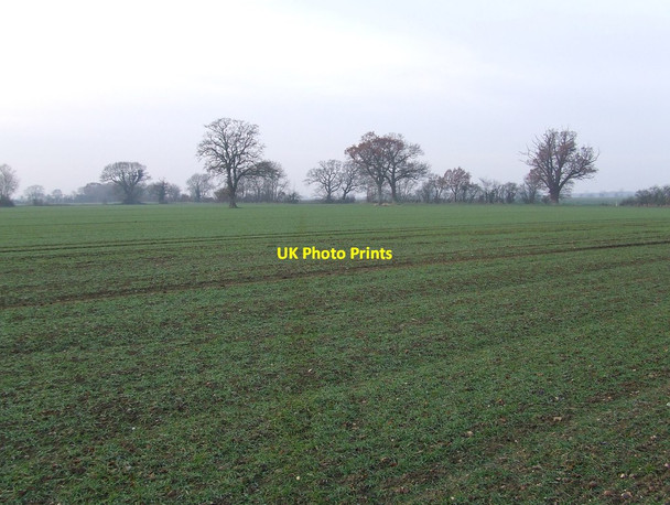Photo 6"x4" Across A Field Denham Corner c2013