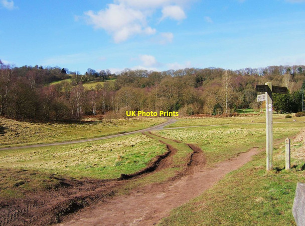 Photo 6"x4" Habberley Valley, near Kidderminster Kidderminster c2008