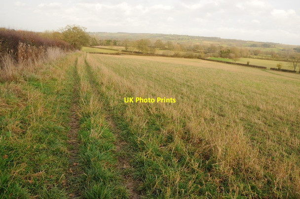Photo 6"x4" Farmland near Clapton-on-the-Hill Clapton-on-the-Hill c2013