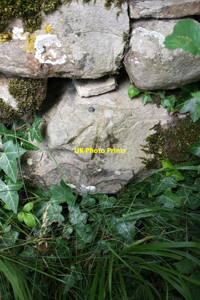 Photo 6"x4" Benchmark on stone in roadside wall opposite Bear Park Carperby\/SE0089 c2013