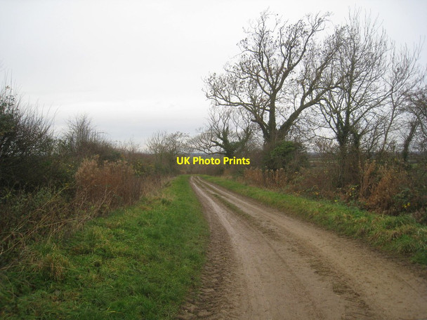 Photo 6"x4" Lemon Wong Lane Leadenham c2013