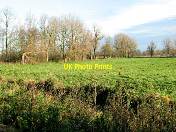 Photo 6"x4" Pastures in Beccles marshes Beccles c2013