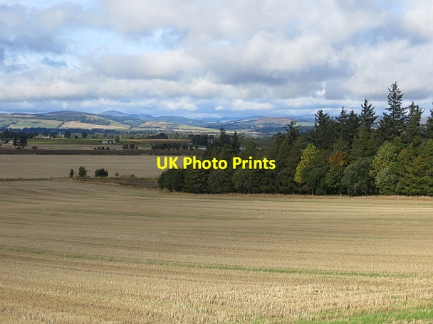 Photo 6"x4" Stubble, Kinpurney Balkeerie c2013