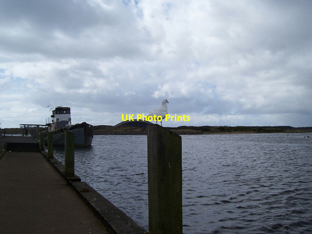 Photo 6"x4" Iceland Gull (Larus glaucoides) At Irvine Harbour Irvine c2005