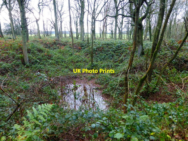 Photo 6"x4" Pond in Brickkiln Copse Farleigh Wallop c2013