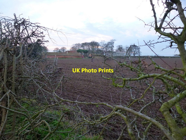 Photo 6"x4" Glimpse of Barton Lodge Burnham\/TA0517 c2013