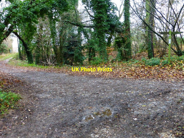 Photo 6"x4" Junction of paths near Broadmere church Broadmere c2013