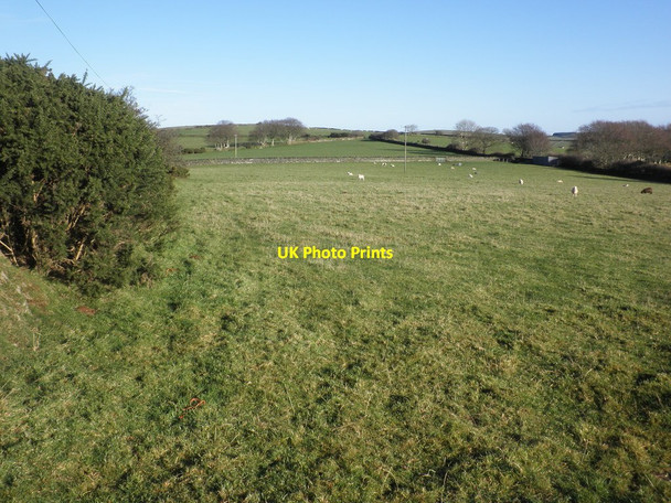 Photo 6"x4" Pasture at East Lyn Lynton c2013