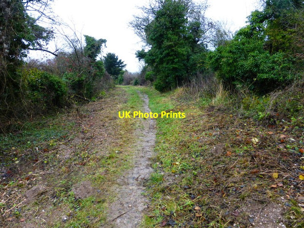 Photo 6"x4" Bridleway going north from Broadmere church Ellisfield c2013