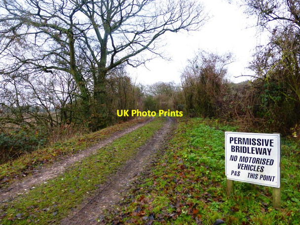 Photo 6"x4" Along the old railway line Winslade\/SU6548 c2013