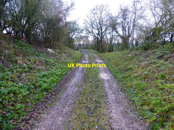 Photo 6"x4" Looking west along the old railway line Winslade\/SU6548 c2013