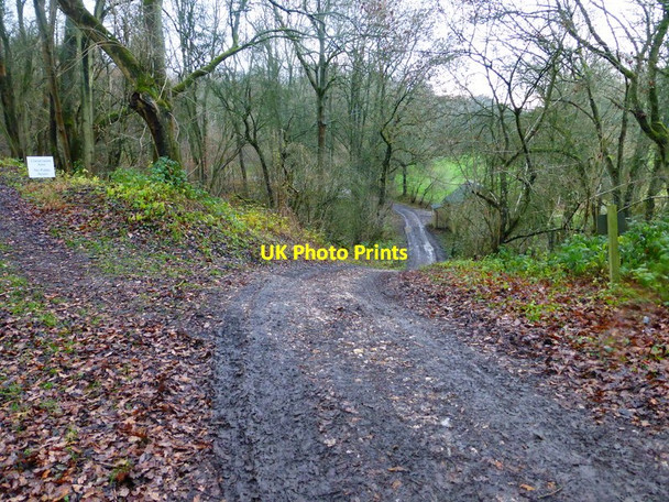 Photo 6"x4" Bridleway turns abruptly downhill Winslade\/SU6548 c2013