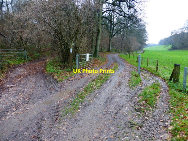 Photo 6"x4" Bridleway along field edge Winslade\/SU6548 c2013