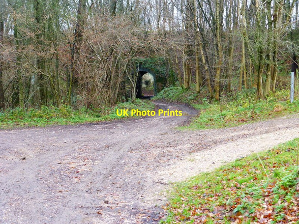 Photo 6"x4" Bridge of disused railway Winslade\/SU6548 c2013