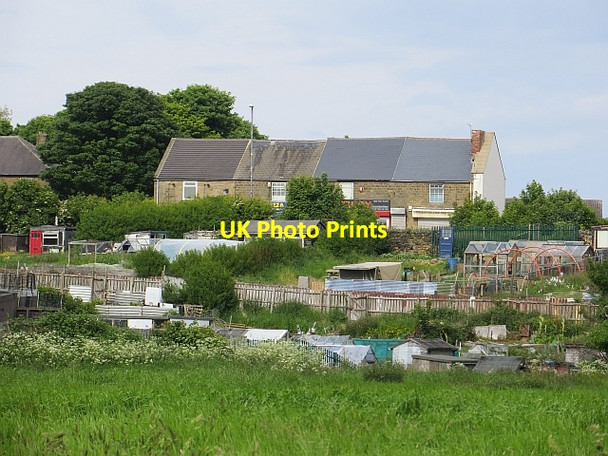 Photo 6"x4" Allotments, Wrekenton Beacon Lough c2013