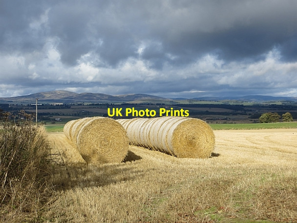 Photo 6"x4" Round bales Bridgend\/NO3747 c2013