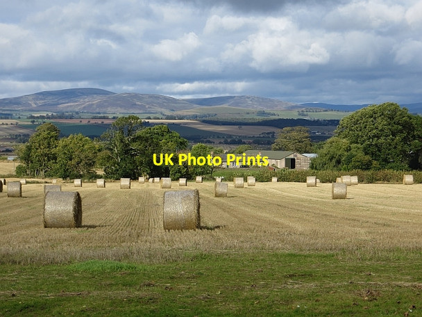 Photo 6"x4" Round bales, Glamis Bridgend\/NO3747 c2013