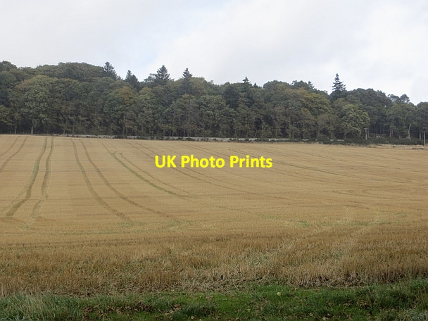 Photo 6"x4" Stubble, Kinnettles Kirkton\/NO4246 c2013