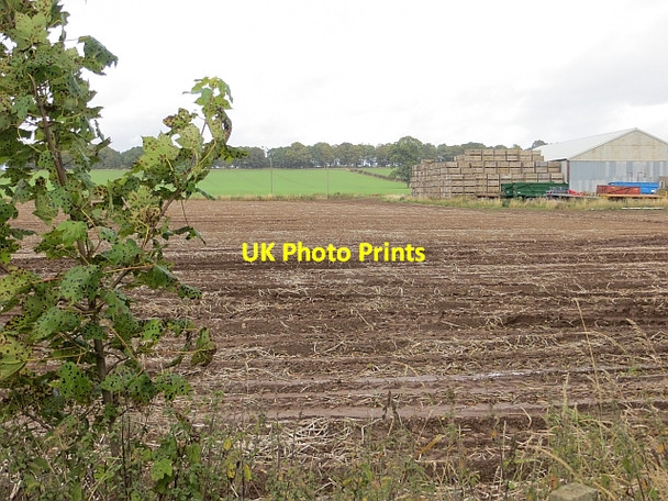Photo 6"x4" North Mains of Invereighty Wester Meathie c2013