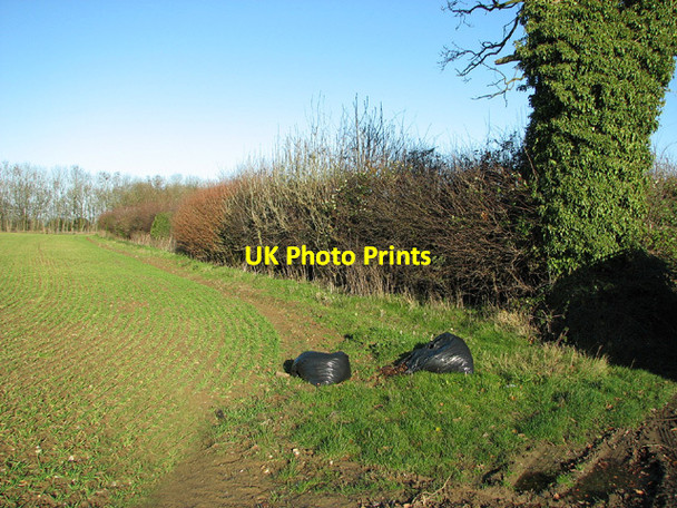 Photo 6"x4" Field boundary hedge North Burlingham c2013