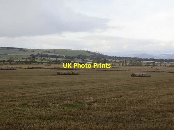 Photo 6"x4" Stubble, Happas Gallowfauld c2013