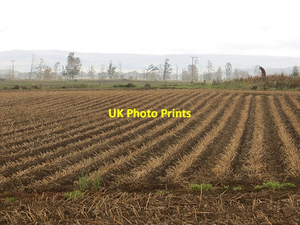 Photo 6"x4" Potato field Gallowfauld c2013