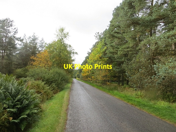 Photo 6"x4" Road from Happas Todhills\/NO4239 c2013 P1