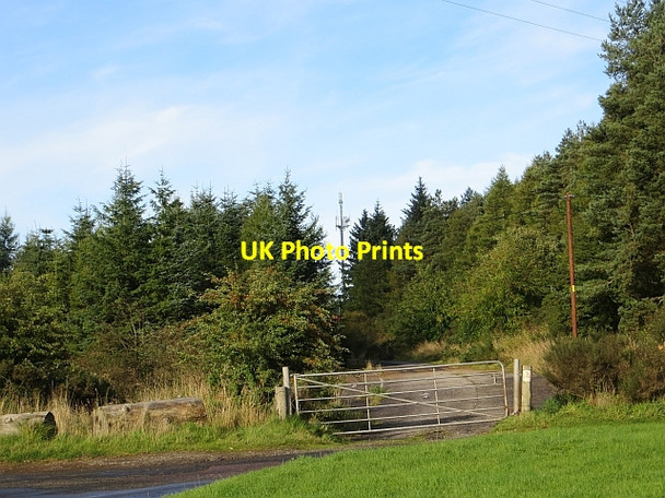 Photo 6"x4" A929, Petterden Todhills\/NO4239 c2013