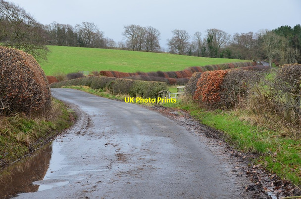 Photo 6"x4" Minor road to Mossburnford Jedburgh c2013