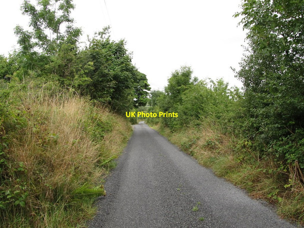 Photo 6"x4" View west along the Ashfield road Cootehill c2013