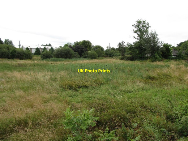 Photo 6"x4" Bogland adjoining Killyrue Cross Roads Madabawn c2013