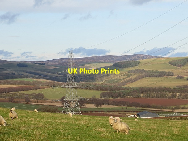Photo 6"x4" View of the Lammermuir Hills Trabrown c2013