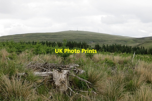 Photo 6"x4" View towards Earl's Hill Earl's Burn c2013