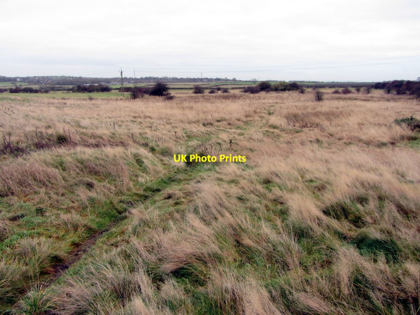 Photo 6"x4" Rough grassland south-east of Lough House Callerton c2013