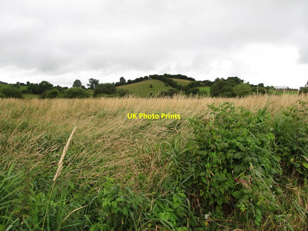 Photo 6"x4" Wetland at Cabragh Madabawn c2013