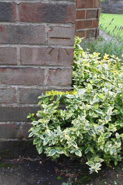 Photo 6"x4" Benchmark on 'Westways', Thirsk Road Thornton-le-Beans c2013