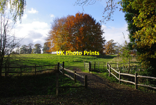 Photo 6"x4" Leeds Castle grounds Ashbank\/TQ8253 c2013 P1
