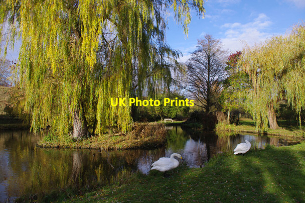 Photo 6"x4" Leeds Castle grounds Ashbank\/TQ8253 c2013