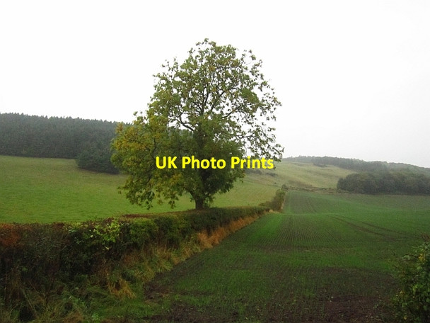Photo 6"x4" Farmland by Fernie Fernie\/NO3115 c2013