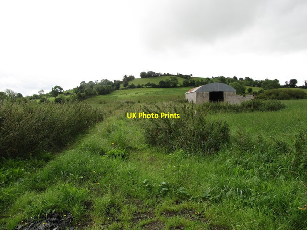 Photo 6"x4" Field barn on the floodplain of the Annalea in the Townland of Cabragh Madabawn c2013