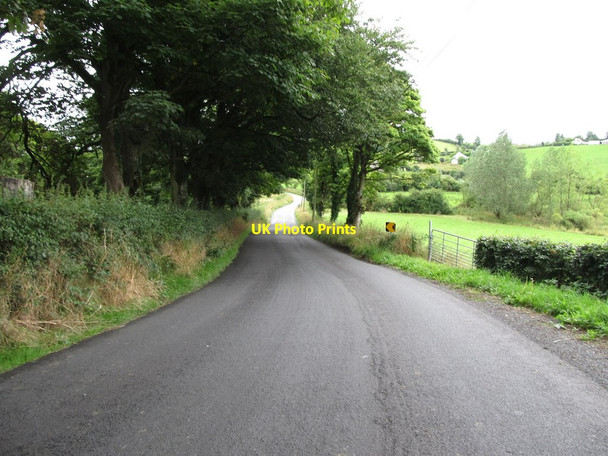 Photo 6"x4" The L2029 descending to the flood plain of the Annalee in the Townland of Campstown Cootehill c2013