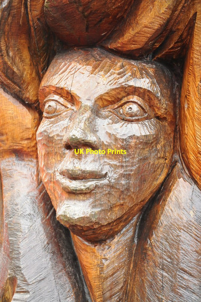 Photo 6"x4" Tree sculpture, Symonds Yat Hillersland c2013