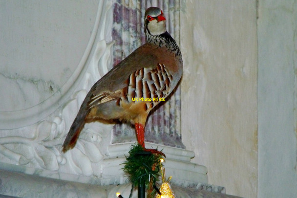 Photo 6"x4" Stuffed partridge, Christmas Tree Festival, Warminghurst Warminghurst c2013